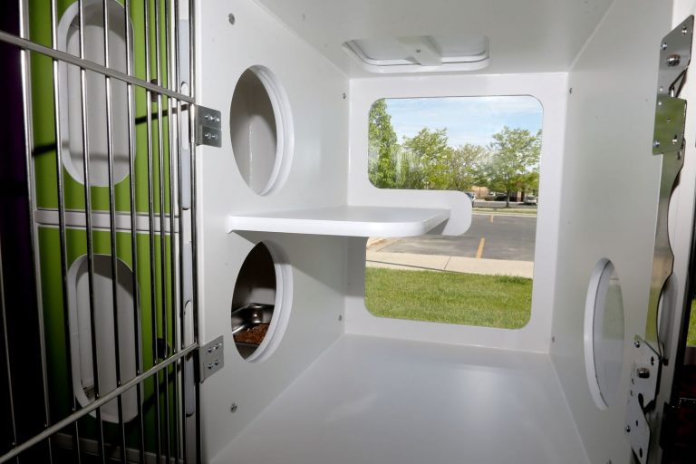 Billings Pet Boarding Dog Boarding